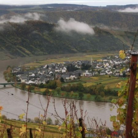 Ferienwohnung Mit Herrlichem Moselblick بيزبورت المظهر الخارجي الصورة